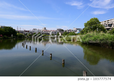 小池公園　東京都大田区 103777574