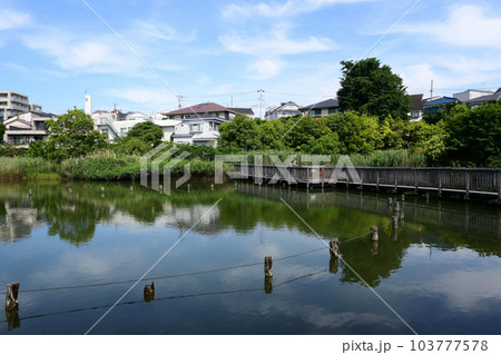 小池公園 東京都大田区 小池公園 東京都大田区 103777578
