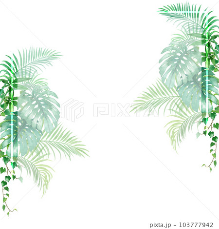 アナログ水彩観葉植物スクエアフレーム アナログ水彩観葉植物スクエアフレーム 103777942