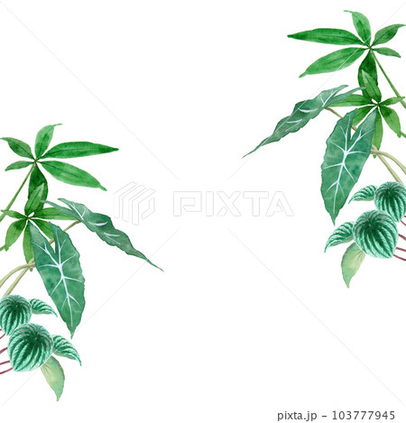 アナログ水彩観葉植物パターンセット アナログ水彩観葉植物パターンセット 103777945