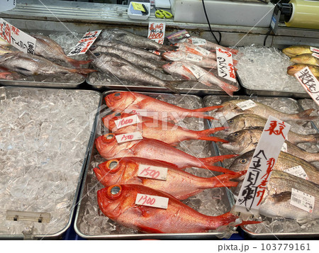 新鮮魚介類対面販売のイメージ 103779161