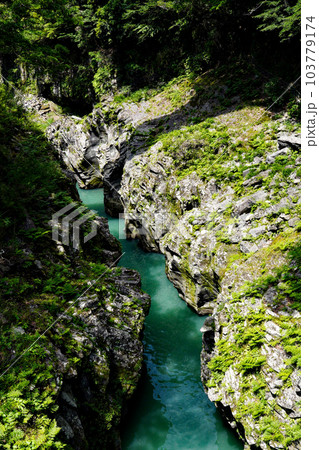 初夏の高千穂峡、五ヶ瀬川 103779174
