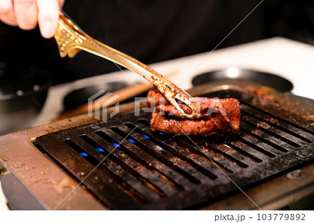 焼き肉イメージ　カルビ　ホルモン 103779892