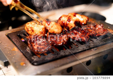 焼き肉イメージ　カルビ　ホルモン 103779894