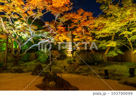 夜の日本庭園をライトアップ 夜の日本庭園をライトアップ 103780099
