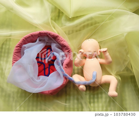 心豊かな妊娠を目指しましょう 103780430