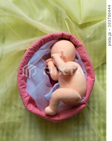 忠実に再現された妊娠中の胎児の様子 103780444