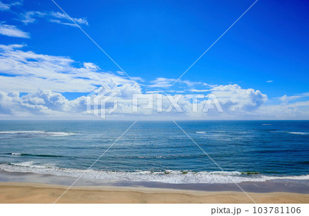 夏の海 夏の海 103781106