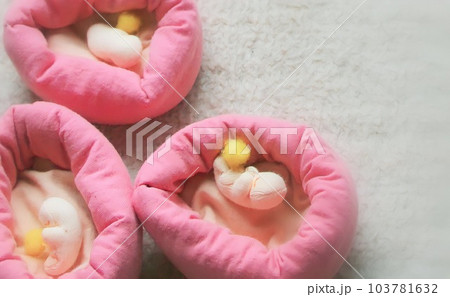 可愛らしい胎芽の姿とピンクの子宮が親しみやすいと人気です 可愛らしい胎芽の姿とピンクの子宮が親しみやすいと人気です 103781632