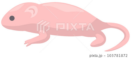 ピンクマウスのイラスト素材 [103781872] - PIXTA