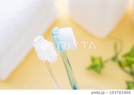 洗面所の歯ブラシとタオル 103781908