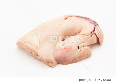 アンコウの肝（あん肝） 103783881