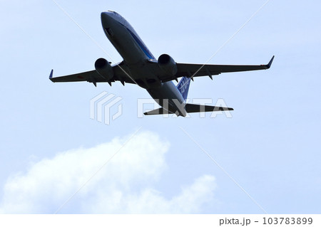 大阪国際空港 ANA旅客機 離陸 猪名川土手 大阪国際空港 ANA旅客機 離陸 猪名川土手 103783899