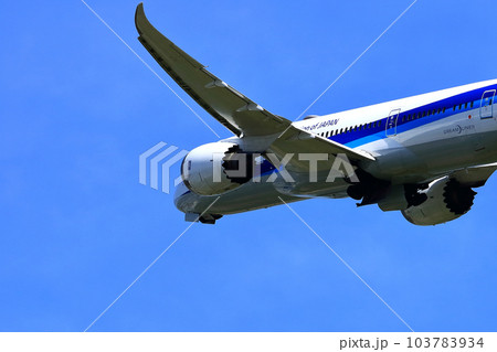 大阪国際空港　ANA旅客機　離陸　猪名川土手 103783934