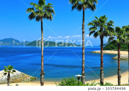 【愛媛県】快晴の来島海峡大橋（しまなみ海道） 103784496