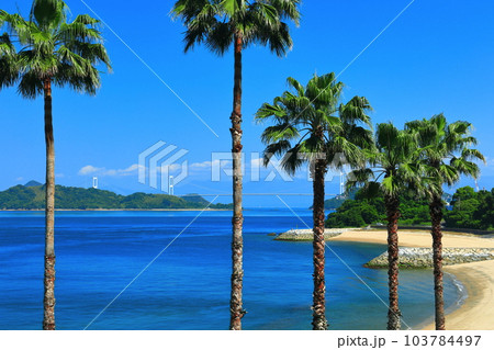 【愛媛県】快晴の来島海峡大橋(しまなみ海道) 【愛媛県】快晴の来島海峡大橋(しまなみ海道) 103784497