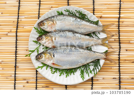 こはだ こはだ 103785190