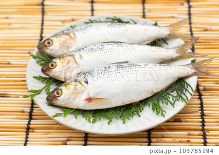 こはだ こはだ 103785194