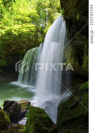 【熊本県】阿蘇小国町 新緑が鮮やかな鍋ヶ滝 103785344