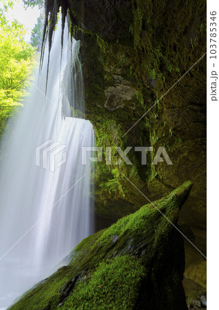 【熊本県】阿蘇小国町 新緑が鮮やかな鍋ヶ滝 103785346