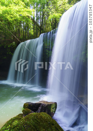 【熊本県】阿蘇小国町 新緑が鮮やかな鍋ヶ滝 103785347