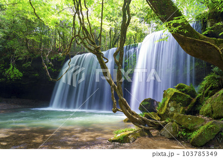 【熊本県】阿蘇小国町 新緑が鮮やかな鍋ヶ滝 【熊本県】阿蘇小国町 新緑が鮮やかな鍋ヶ滝 103785349
