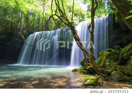 【熊本県】阿蘇小国町 新緑が鮮やかな鍋ヶ滝 【熊本県】阿蘇小国町 新緑が鮮やかな鍋ヶ滝 103785351