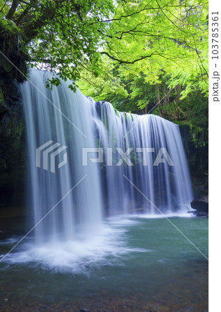 【熊本県】阿蘇小国町 新緑が鮮やかな鍋ヶ滝 【熊本県】阿蘇小国町 新緑が鮮やかな鍋ヶ滝 103785361