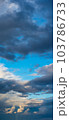 The sun's light gilds the dark storm clouds at dawn 103786733