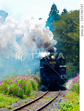 秋の蒸気機関車 103786787