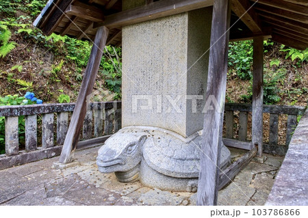 額田郡幸田町、本光寺の願掛け亀 額田郡幸田町、本光寺の願掛け亀 103786866
