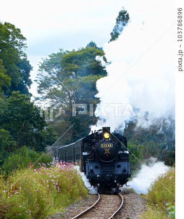 秋の蒸気機関車 103786896