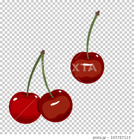 美國櫻桃 美國櫻桃 103787123