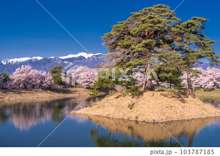 《長野県》六道の堤・桜満開 《長野県》六道の堤・桜満開 103787185