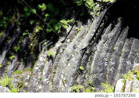 宮崎県、高千穂峡の柱状節理 宮崎県、高千穂峡の柱状節理 103787260