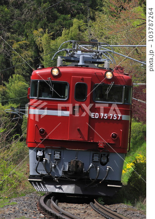 ED75-757号機牽引の風っこ仙山線春風号_2023/4/22撮影 103787264