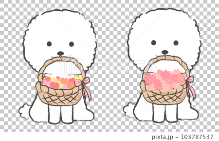 手書き風のシンプルなかわいいビションフリーゼのイラスト ハートのかご 花が入ったかごをくわえる 手書き風のシンプルなかわいいビションフリーゼのイラスト ハートのかご 花が入ったかごをくわえる 103787537