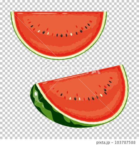 カットスイカ1 カットスイカ1 103787588