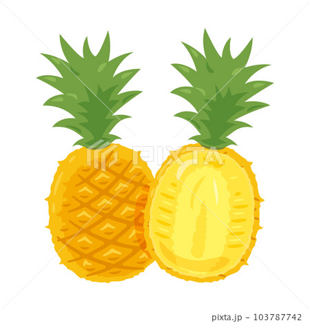 パイナップル2 103787742