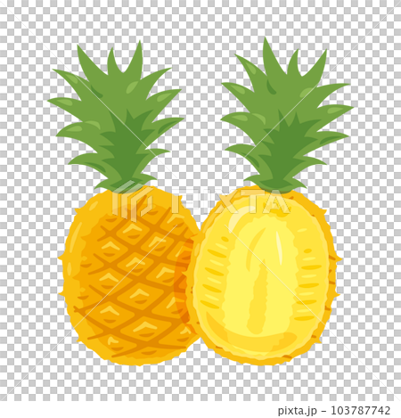 パイナップル2 103787742