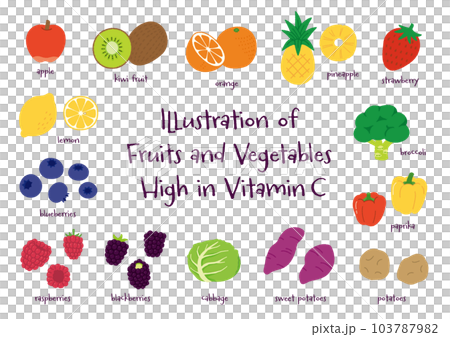 Hand drawn vector illustration set of fruits and vegetables rich in vitamin C Hand drawn vector illustration set of fruits and vegetables rich in vitamin C 103787982