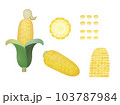 トウモロコシ　素材 103787984