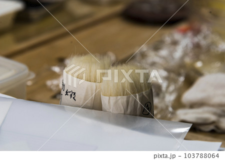 制作中の筆 制作中の筆 103788064