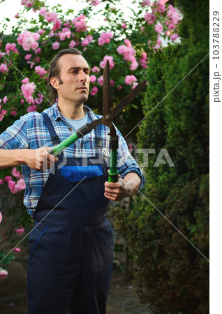 Portrait of professional male gardener floriculturist, horticulturist in blue uniform, holding pruners, cutting a hedge in the courtyard of a mansion. Home and garden decoration concept. Landscaping 103788229