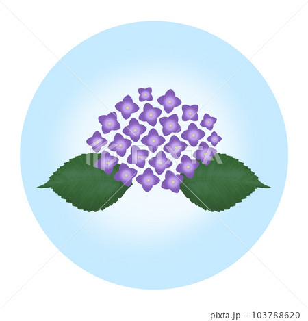 紫陽花のアイコン　紫 103788620