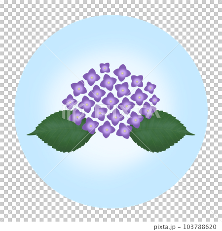 紫陽花のアイコン　紫 103788620