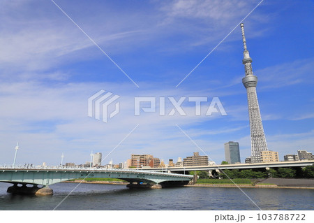 隅田公園から見た隅田川、言問橋と東京スカイツリー 103788722