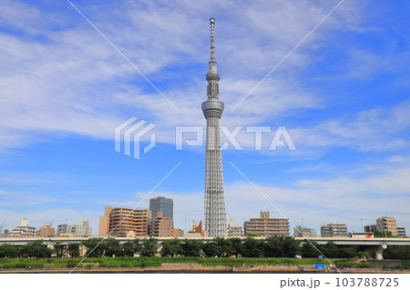 隅田公園から見た隅田川、言問橋と東京スカイツリー 103788725
