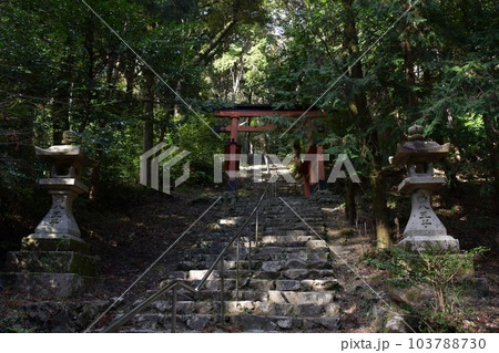 天王山 若山神社 天王山 若山神社 103788730