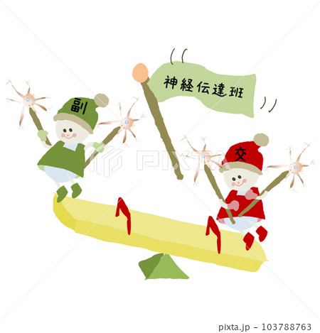 自律神経　かわいいイラスト 103788763